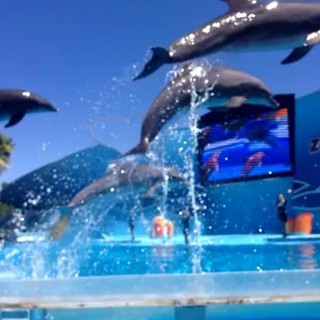 Belavista - Moradia Familias Ferienhaus *