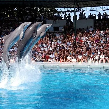 Belavista - Moradia Familias * Albufeira